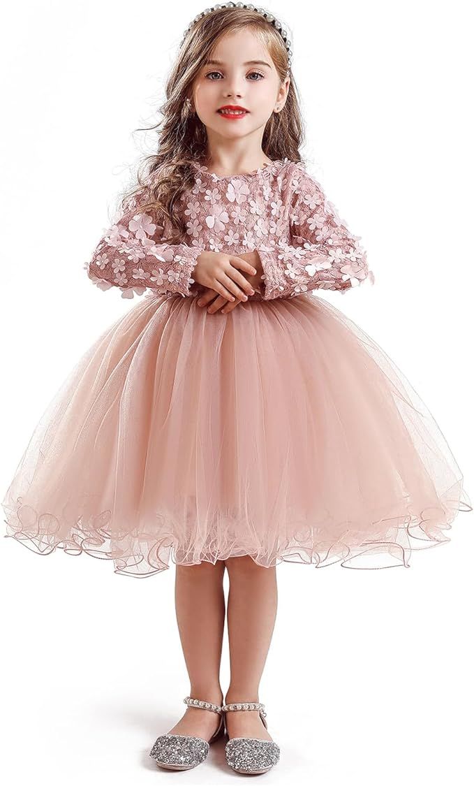 TTYAOVO Little Girls Long Sleeves Casual Birthday Dress with Tutu Skirt | Amazon (US)