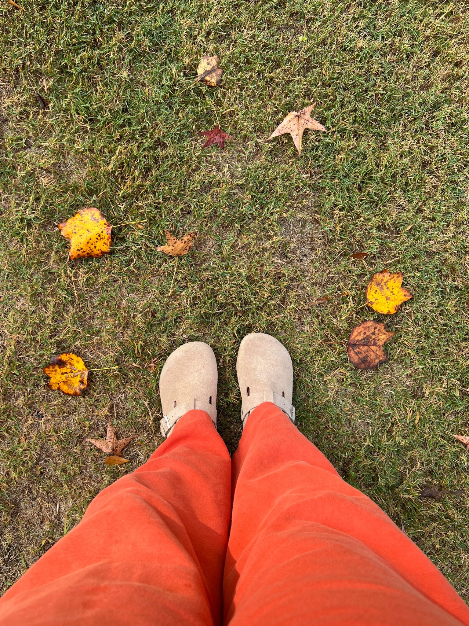 Waterproof suede clogs. 

#LTKStyleTip #LTKSeasonal #LTKShoeCrush