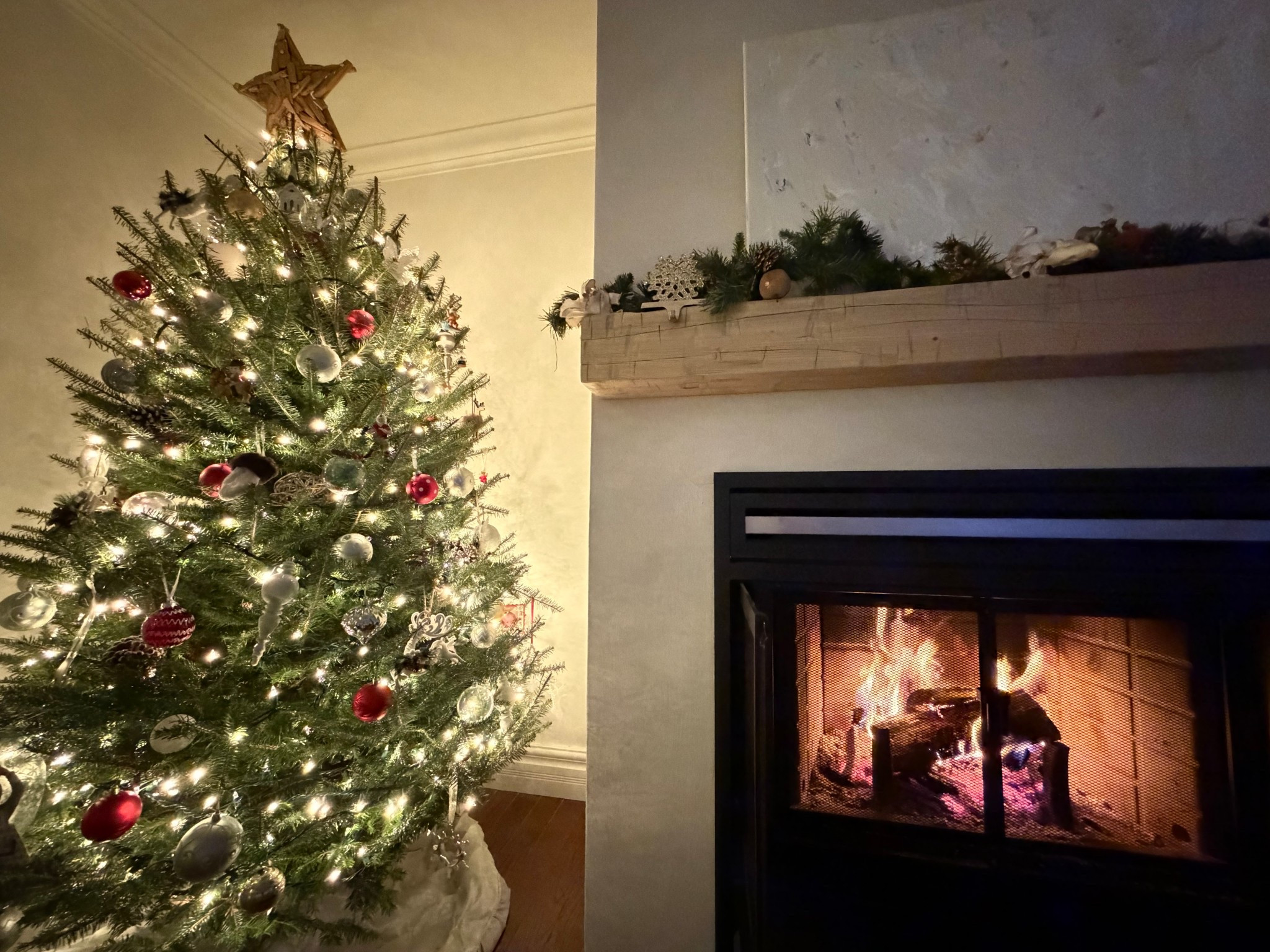 Fresh Tree and a fire

#LTKHoliday #LTKGiftGuide #LTKdayinmylife