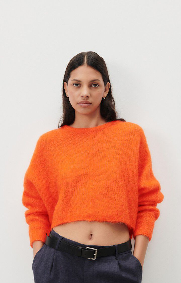 Pull femme Tyji
                            
                                 | TYJ18AH23 | American Vintage