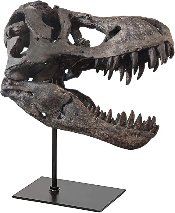T Rex Skull, Dinosaur Statue Resin Dinosaur Skull Fossil Replica Skeleton Sculptures,Decorative O... | Amazon (US)