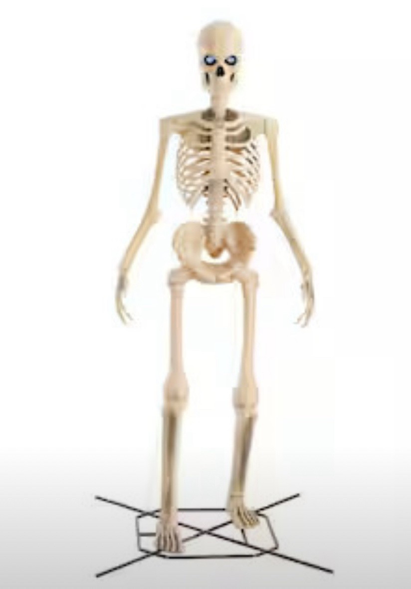 Shelley’s back 

#LTKHome #LTKFamily #LTKSeasonal