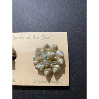 Seashell ""Jewels Of The Sea"" Vintage Clip-On Earrings - 1"" Diameter Hand Made Shells With Aqua Rhinestones | Etsy (US)