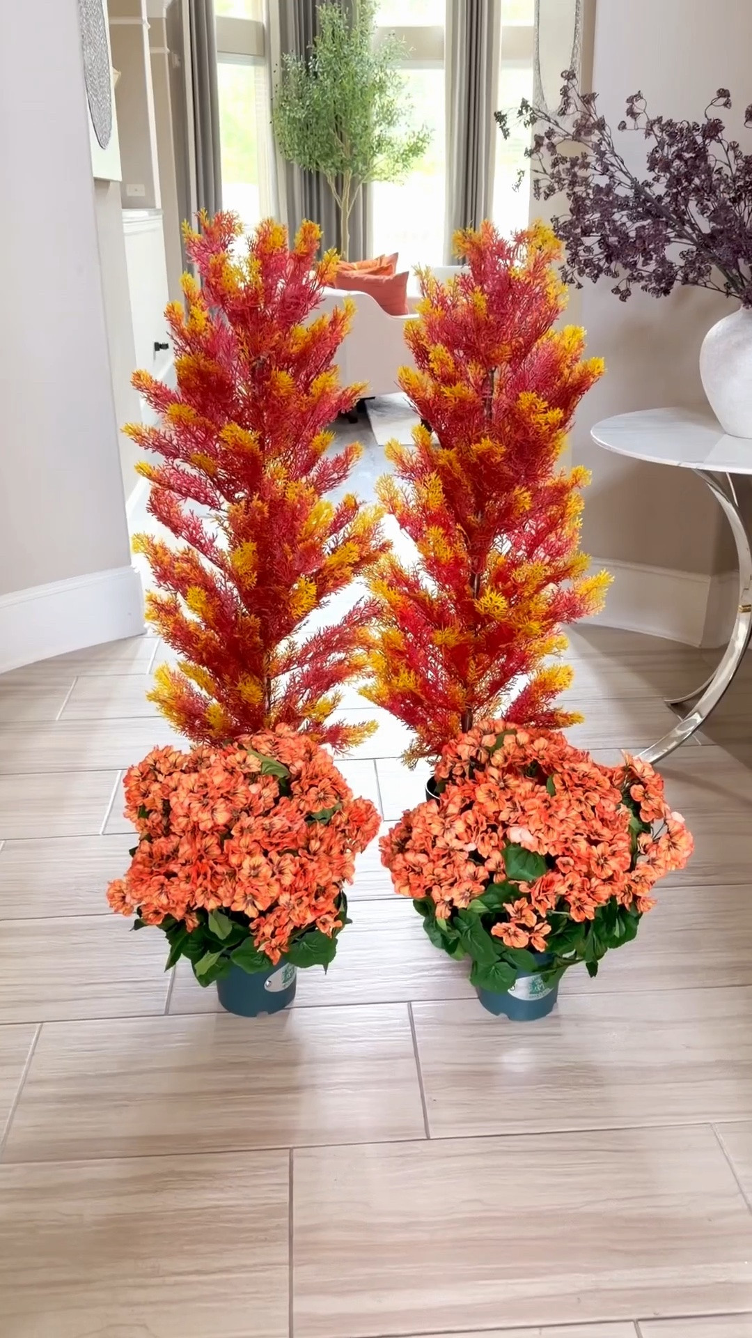 Outdoor plants #falldecor

#LTKHome #LTKSaleAlert #LTKActive
