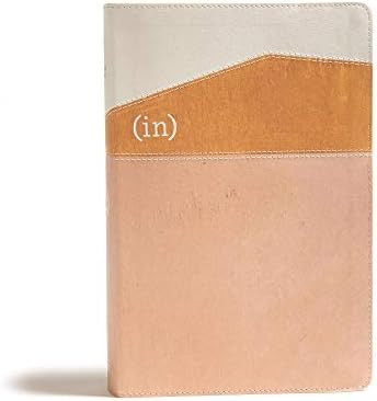 CSB (in)courage Devotional Bible, Desert/Mustard/Alabaster LeatherTouch®, Black Letter, Full-Col... | Amazon (US)