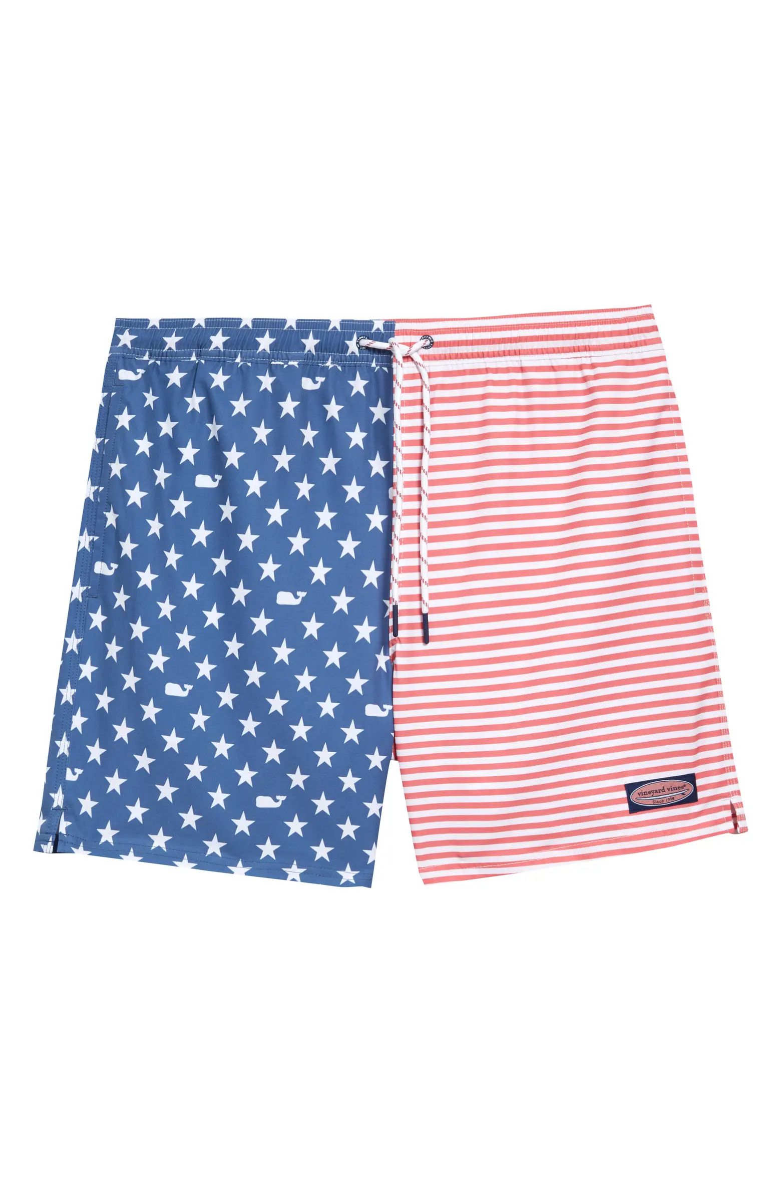 Chappy Stripe Swim Trunks | Nordstrom