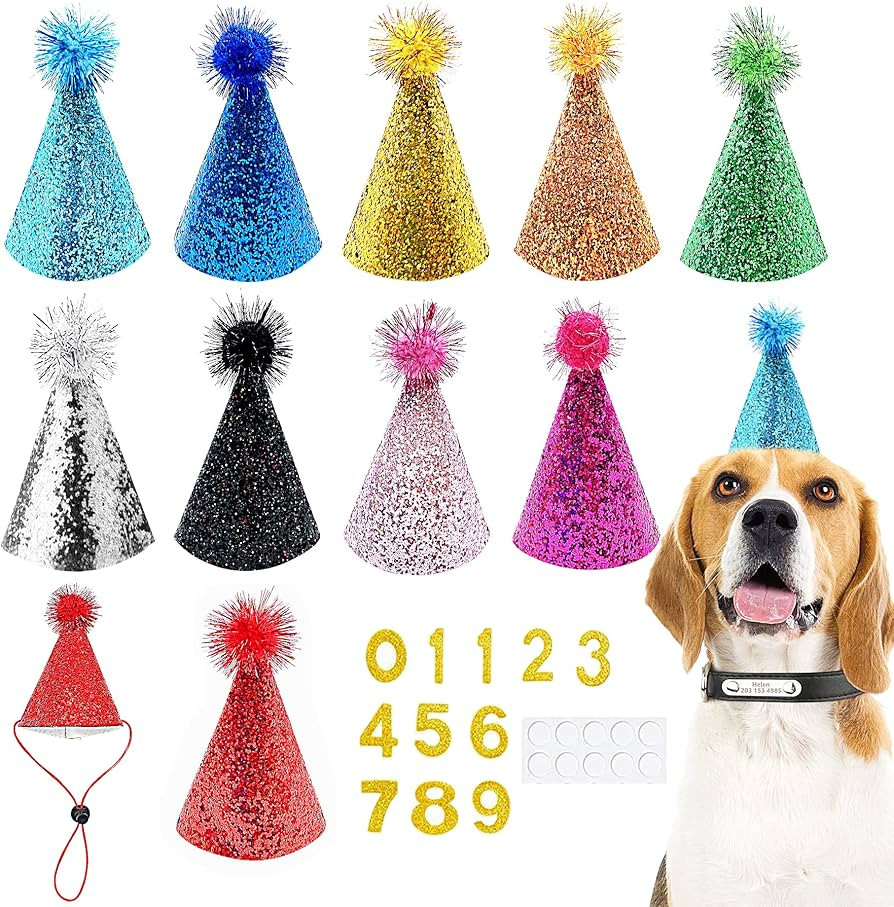 PET SHOW 10pcs Small Dog Birthday Hat Set Medium Large Dogs Cat Kitten Puppies Party Hats with 0-... | Amazon (US)