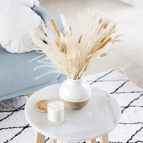 South Pillar - 18" Naturally Dried Pampas Grass Bouquet for Home Decor and Wedding Centerpiece (W... | Amazon (US)