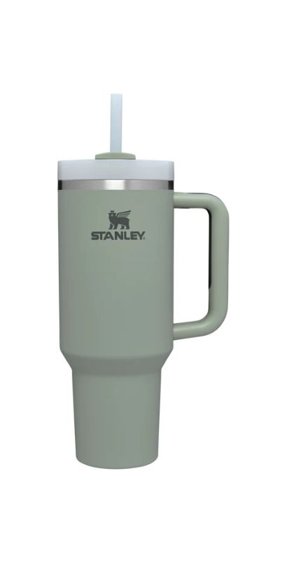 Stanley The Quencher H2.O FlowState Tumbler Bay Leaf Soft Matte | Well.ca