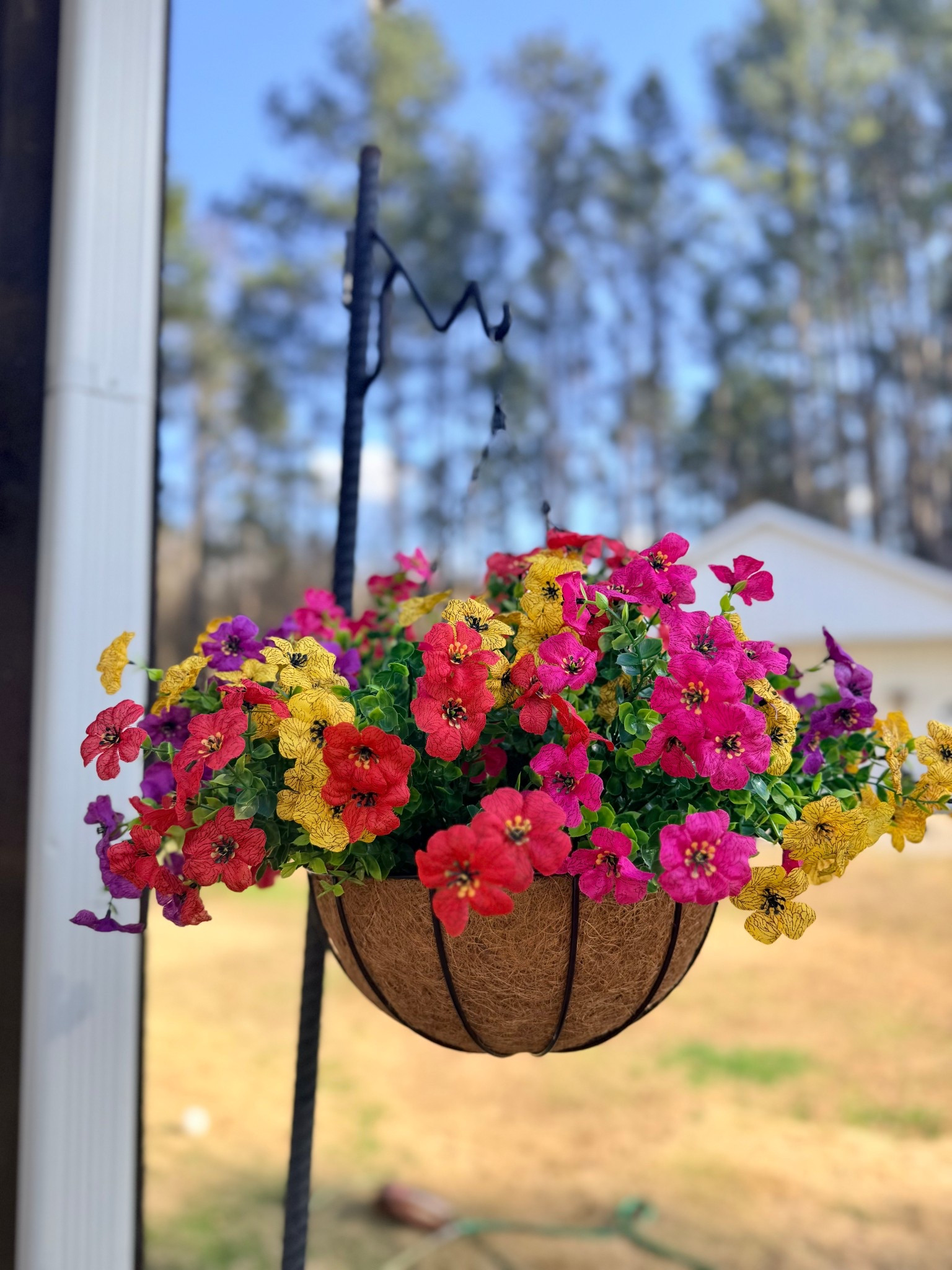 Obsessed with these hanging baskets!! 

#LTKHome #LTKSpringSale #LTKSeasonal