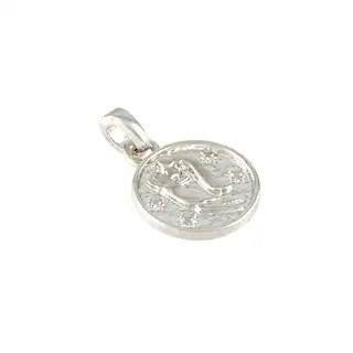 Metal Zodiac Coin Charm by Bead Landing™ | Michaels | Michaels Stores