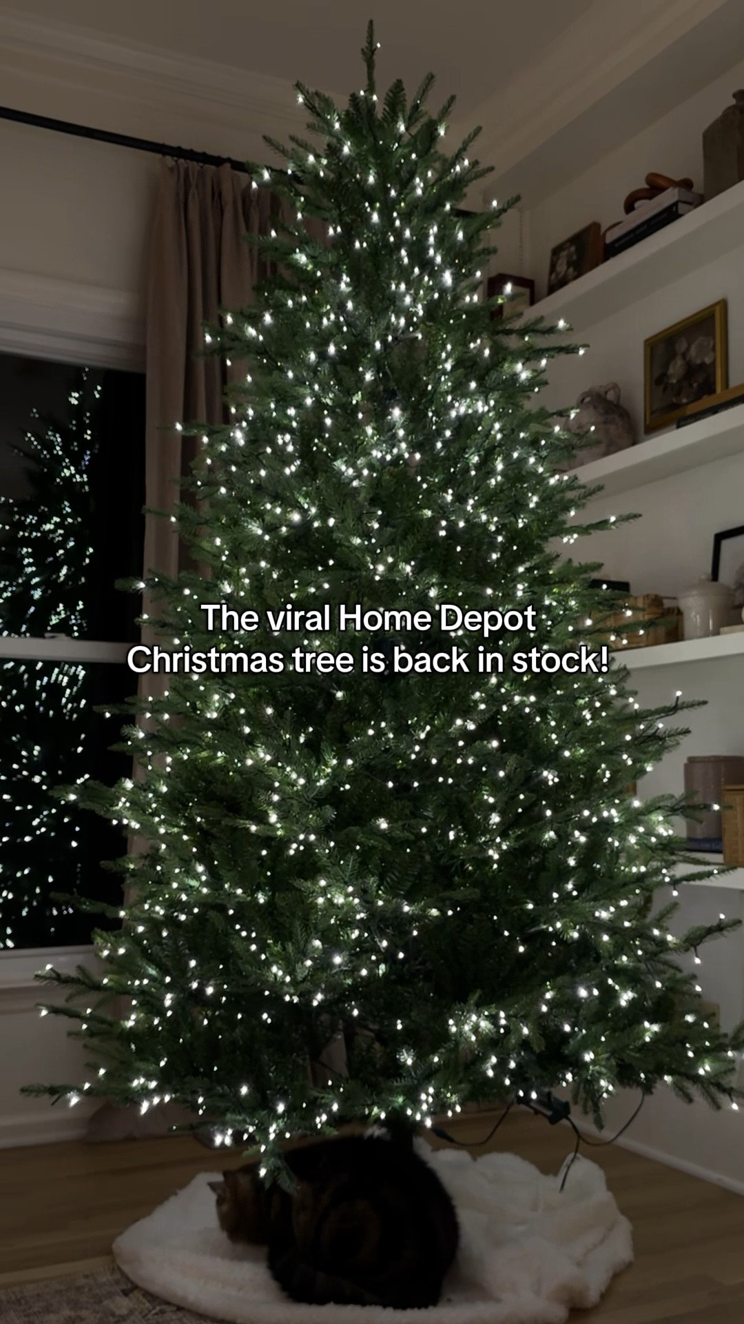 The best Christmas tree is back!!!👏🏼🎄 

#LTKHome #LTKSeasonal #LTKFamily