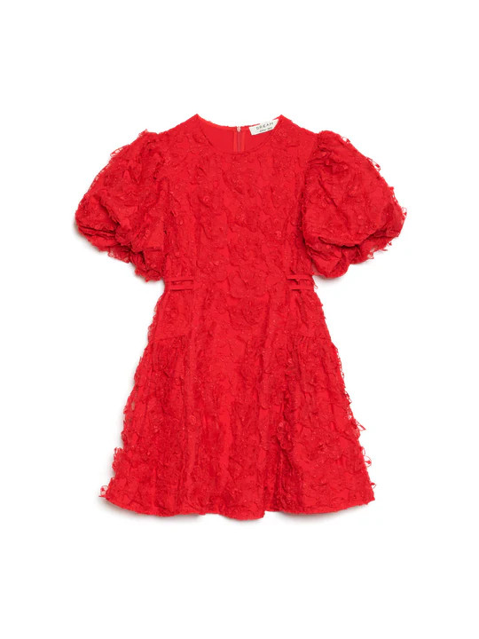 DREAM Doris Floral Mini Dress | Sister Jane (UK)