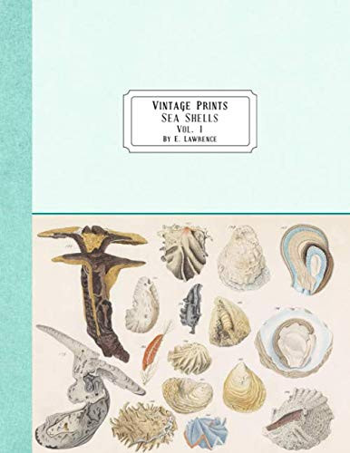 Vintage Prints: Sea Shells: Vol. 1 | Amazon (US)
