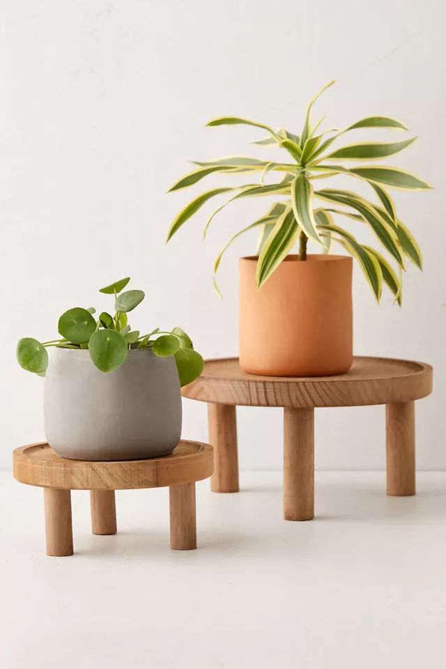 Wood Plant Stand - Set Of 2 | Urban Outfitters (US and RoW)