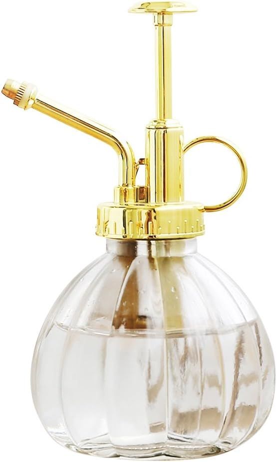 Plant Mister, 6.5" Tall Decorative Glass Water Spray Bottle with Gold Top Pump Small Watering Can... | Amazon (US)