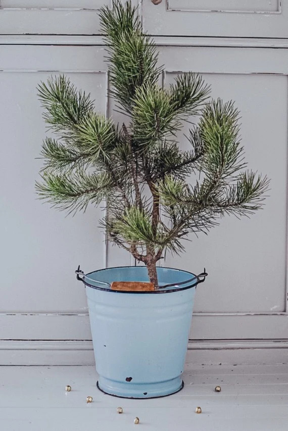 Vintage Enamel Bucket | Etsy (CAD)
