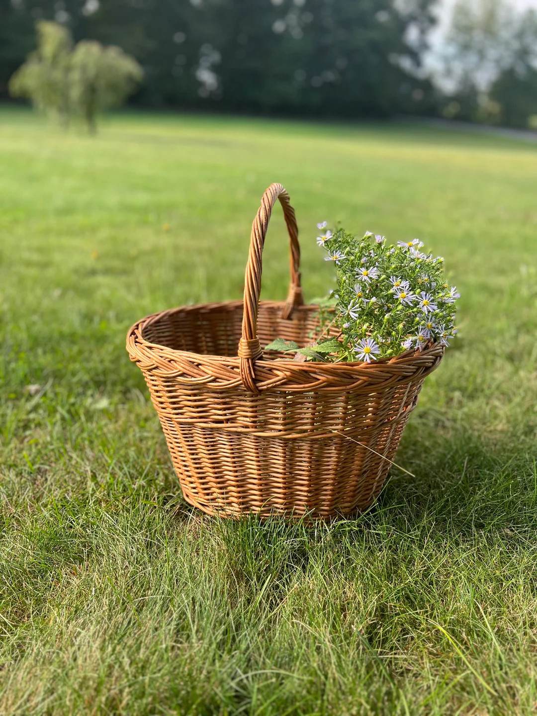 Large Vintage Gathering Basket, Large Vintage Basket With Handle, Foraging Basket, Gathering Bask... | Etsy (US)
