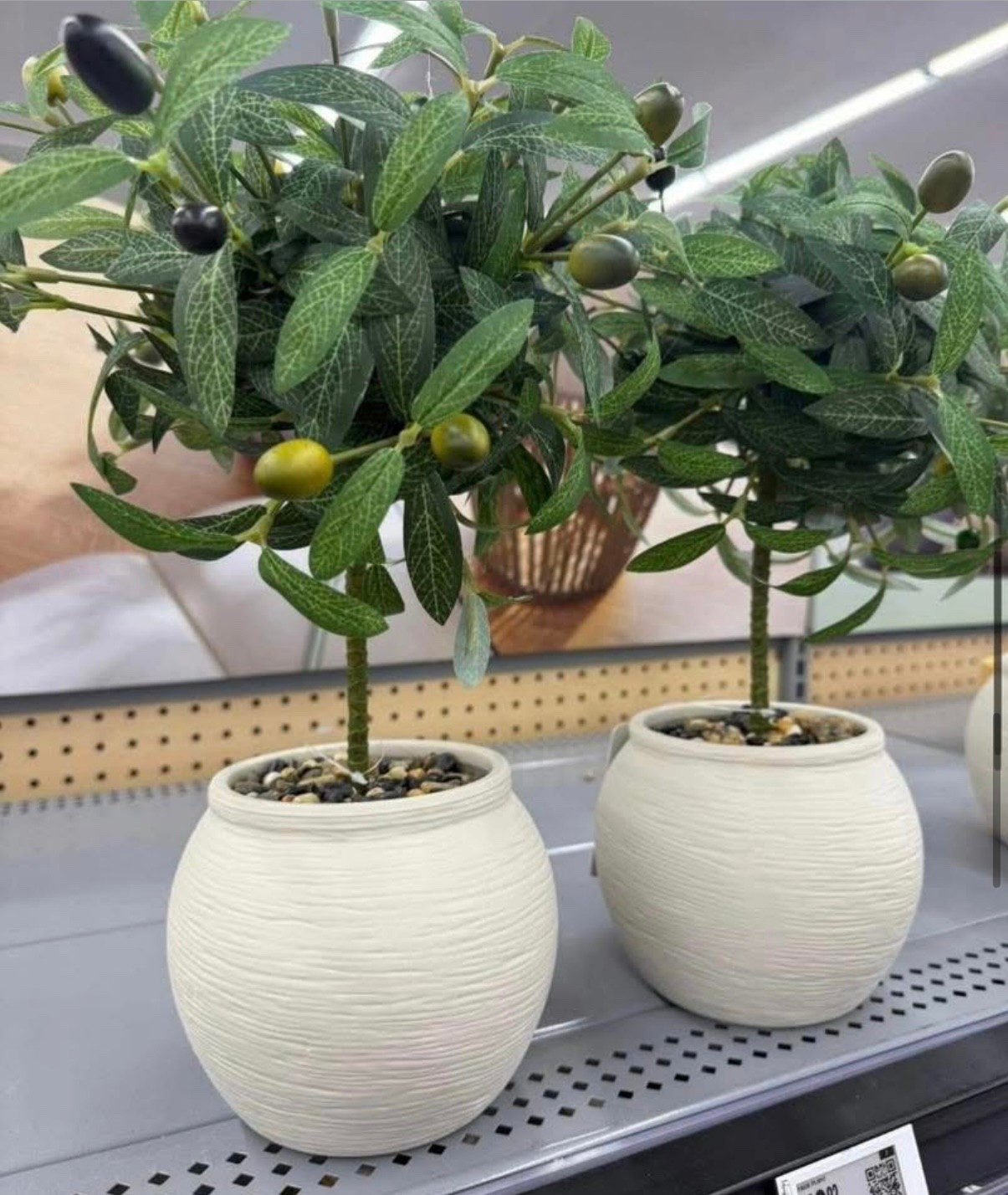 🌿 Under $20, NEW + almost gone in my store!

I actually grabbed 2 😍 such a good find and looks so realistic for the price

don’t wait on this one — it’s already selling fast and will be gone quick 🪴

I’ll link it here + more new faux plants and bestselling favorites you don’t want to miss

#LTKHome #LTKdayinmylife