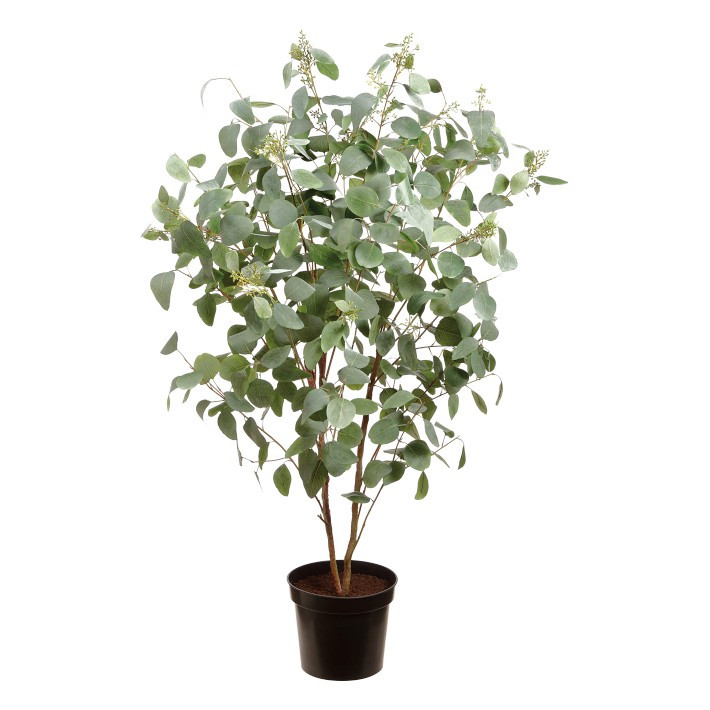 Faux Eucalyptus Plant in Planter Pot, 67" | Williams-Sonoma