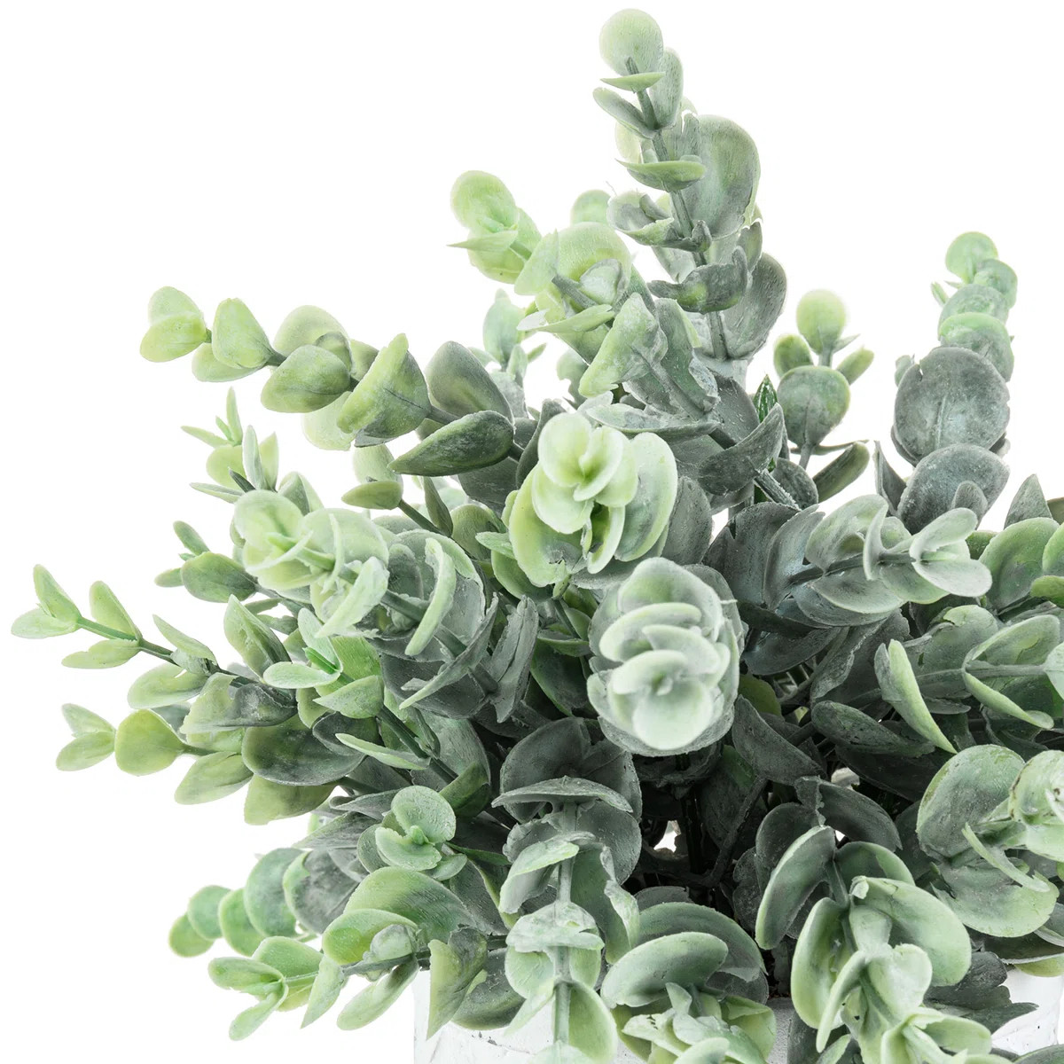 8.9'' Faux Eucalyptus Plant in Cement Pot | Wayfair North America