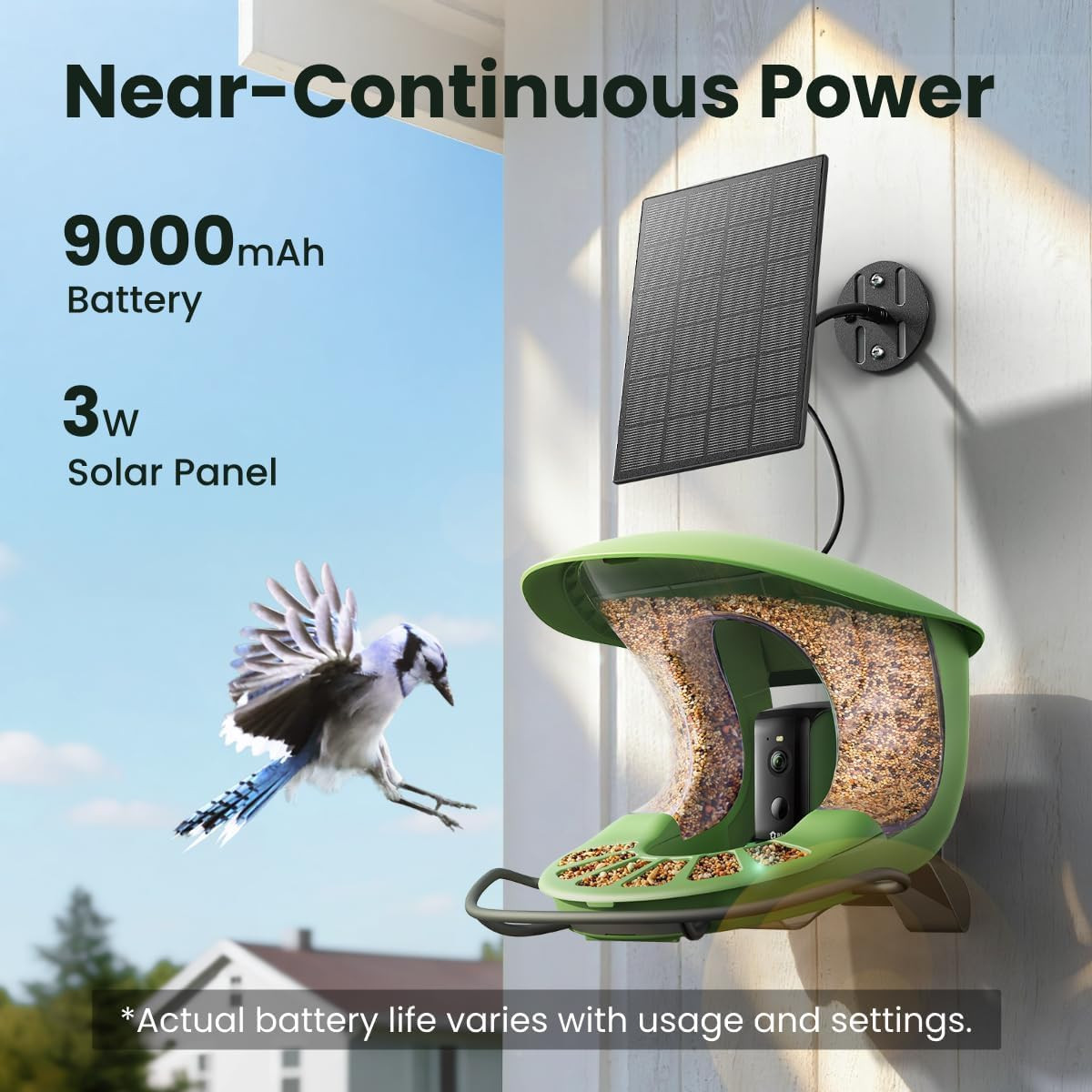 Birdfy 2 Smart Bird Feeder with Camera,Solar-Powered, Wireless Installation, Auto-Capture Bird Vi... | Amazon (US)
