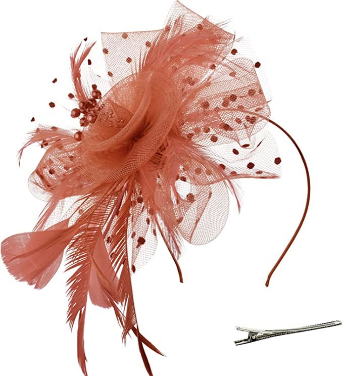 DRESHOW Fascinators Hat Flower Mesh Ribbons Feathers on a Headband and a Clip Tea Party Headwear ... | Amazon (US)