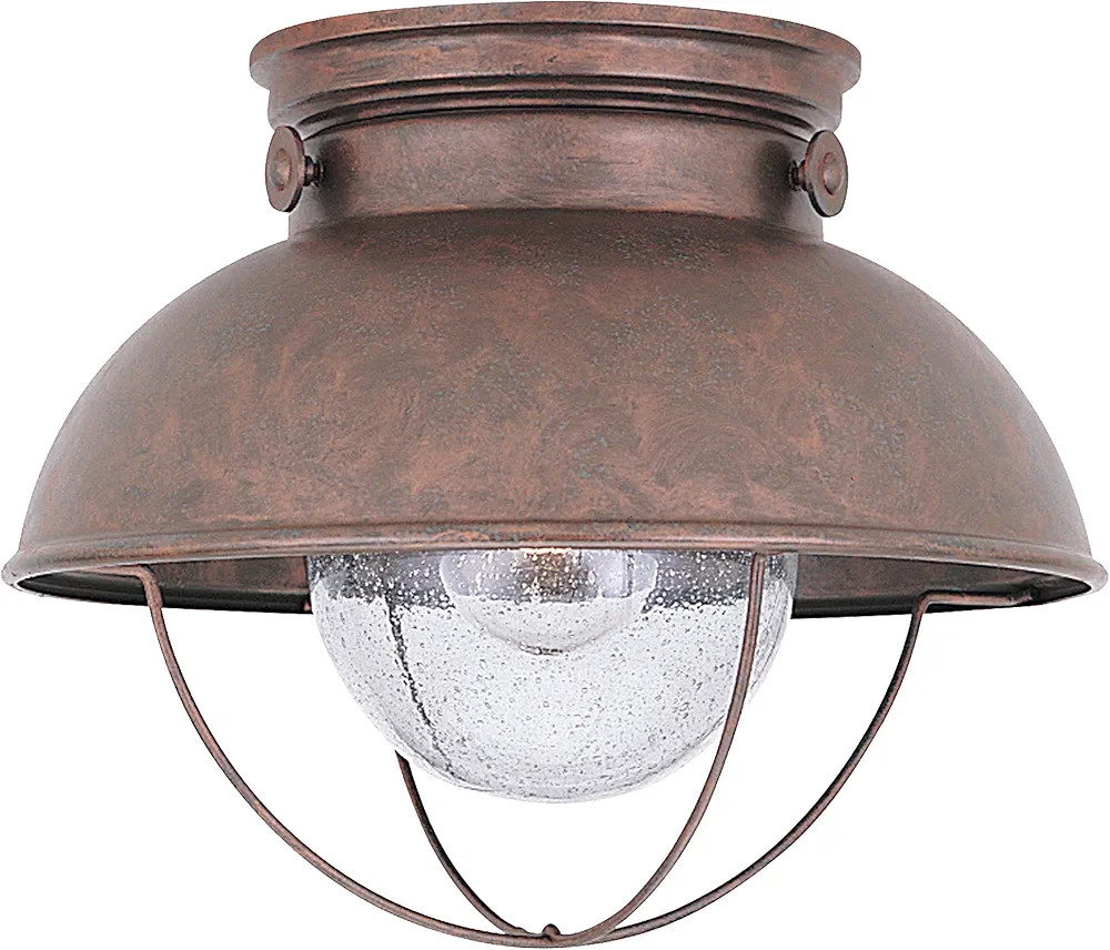 Sea Gull Lighting 8869-44 Sebring One-Light Outdoor Flush Mount Ceiling Light with Clear Seeded G... | Amazon (US)