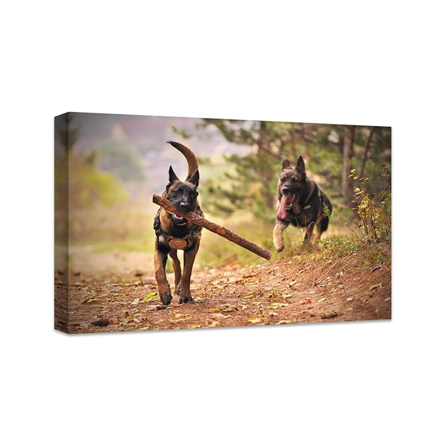 Personalized Photo to Canvas Print - Canvas Prints With Your Photos on Custom Wall Art for Bedroo... | Amazon (US)