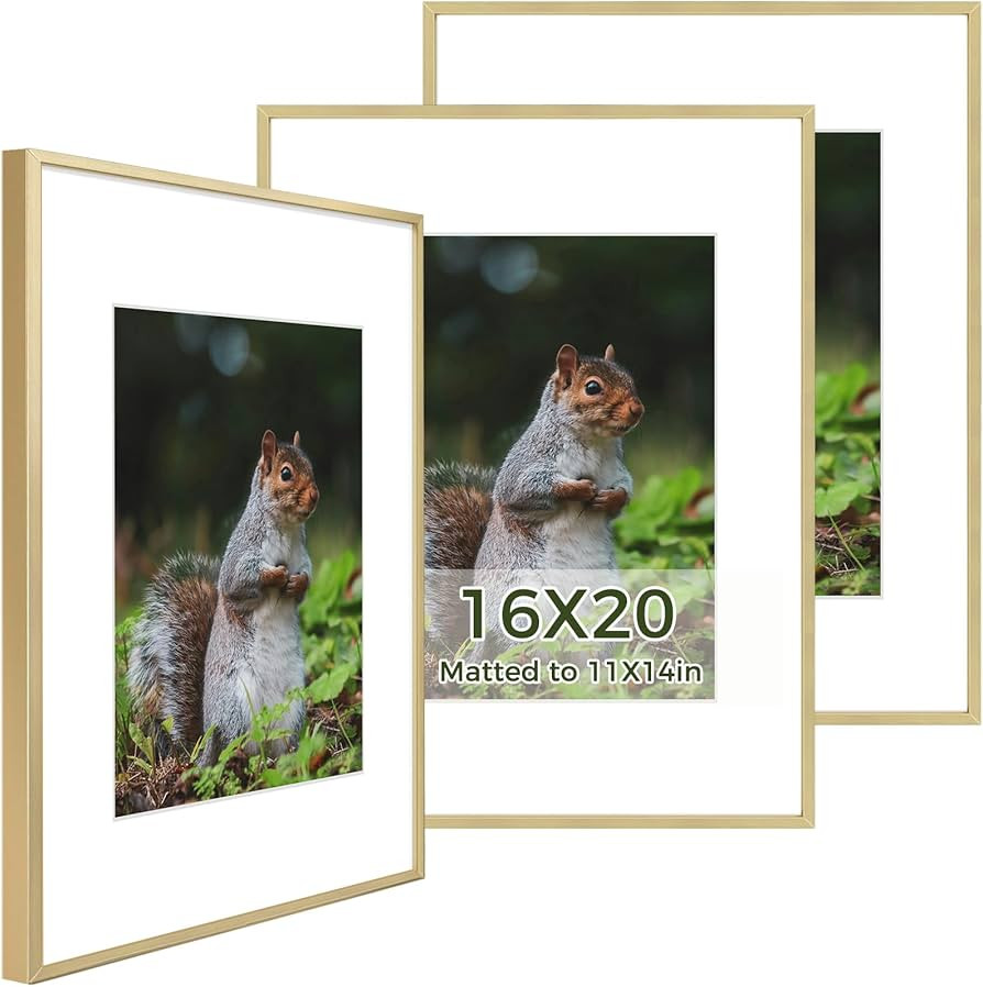 Golden State Art 16x20 Picture Frame 3 Pack - Aluminum Frames with 11x14 Removable Mats & Real Gl... | Amazon (US)
