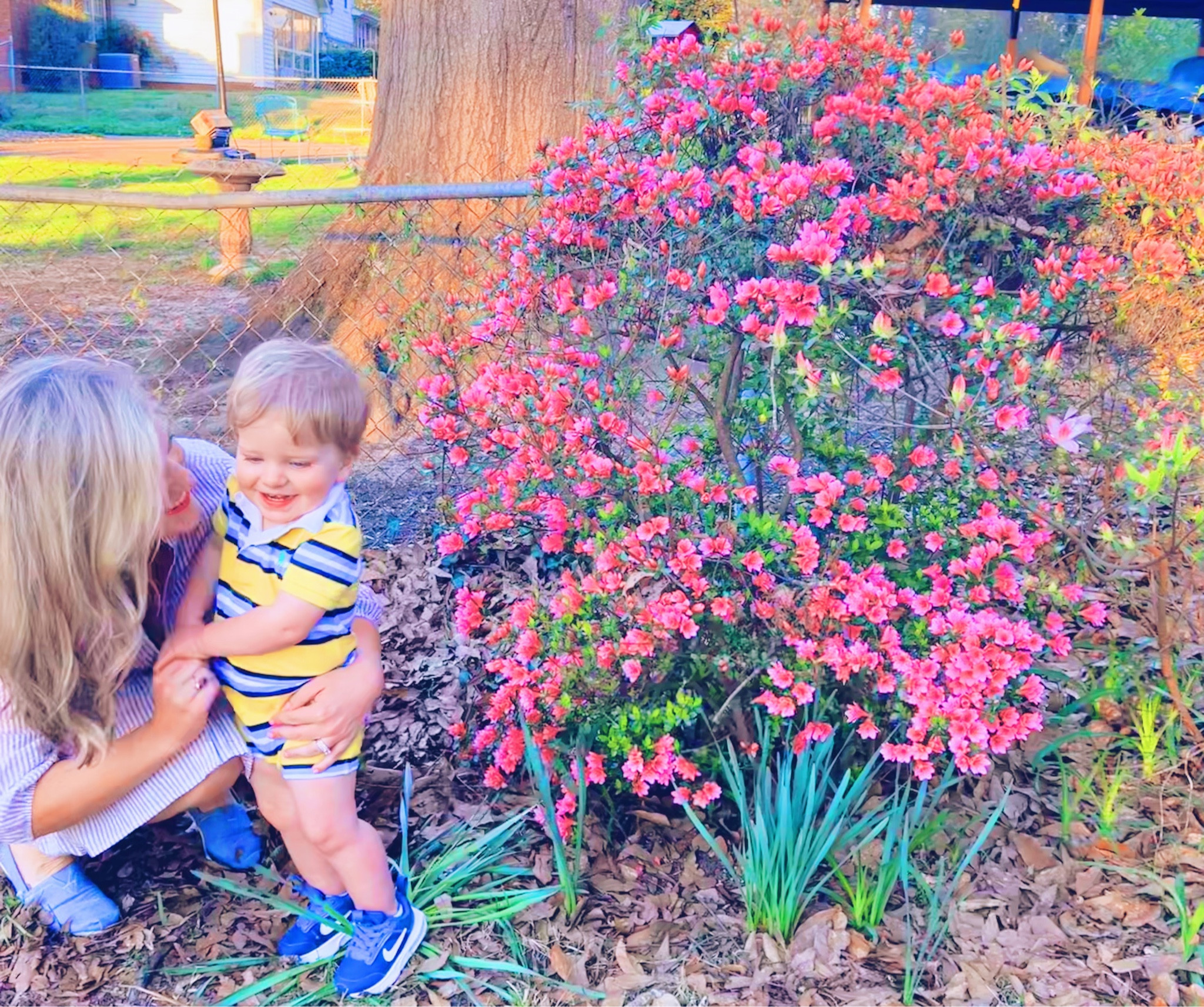 Spring is “in the air” and we are loving seeing the azaleas just starting to bloom all around our little home sweet home bloom one last time!! What a sweet gift from Jesus as we soak up these final memories in our sweet little fixer upper!! 🏡🌸 

“He has made everything beautiful in it’s time…” // Ecclesiastes 3:11 🌺🌱

Just really grateful for this sweet adventure called life with my favorite boys!! From azaleas blooming 💐🪴, to @wesmabry getting to take his old red truck 🛻♥️ to a car show hosted by some of his best buddies at the @eatdrinkflock last night, and getting invited to take Judson to the “grand opening” of a brand new “Book Nook” exhibit 📚📖 at the @tcmupstate - it sure has been a sweet and memorable week!! Happy Friday y’all! 🥰🫶🏽

…

#emilysayswes #judsoncarpentermabry #twentyonemonthsold #twentyonemonthold #twentyonemontholdbaby #twentyonemontholdbabyboy #judsonmonthbymonth #sweetjudson #oursweetboy #oneyearold #oneyearoldbaby #oneyearoldbabyboy #oneyearoldboy #gratefulmotherhood #motherhoodblog #motherhoodblogger #mommyblogger #hellomarch #marchmemories #thesearethedays #liketkit #LTKfamily #LTKbaby #LTKSpring @shop.ltk 