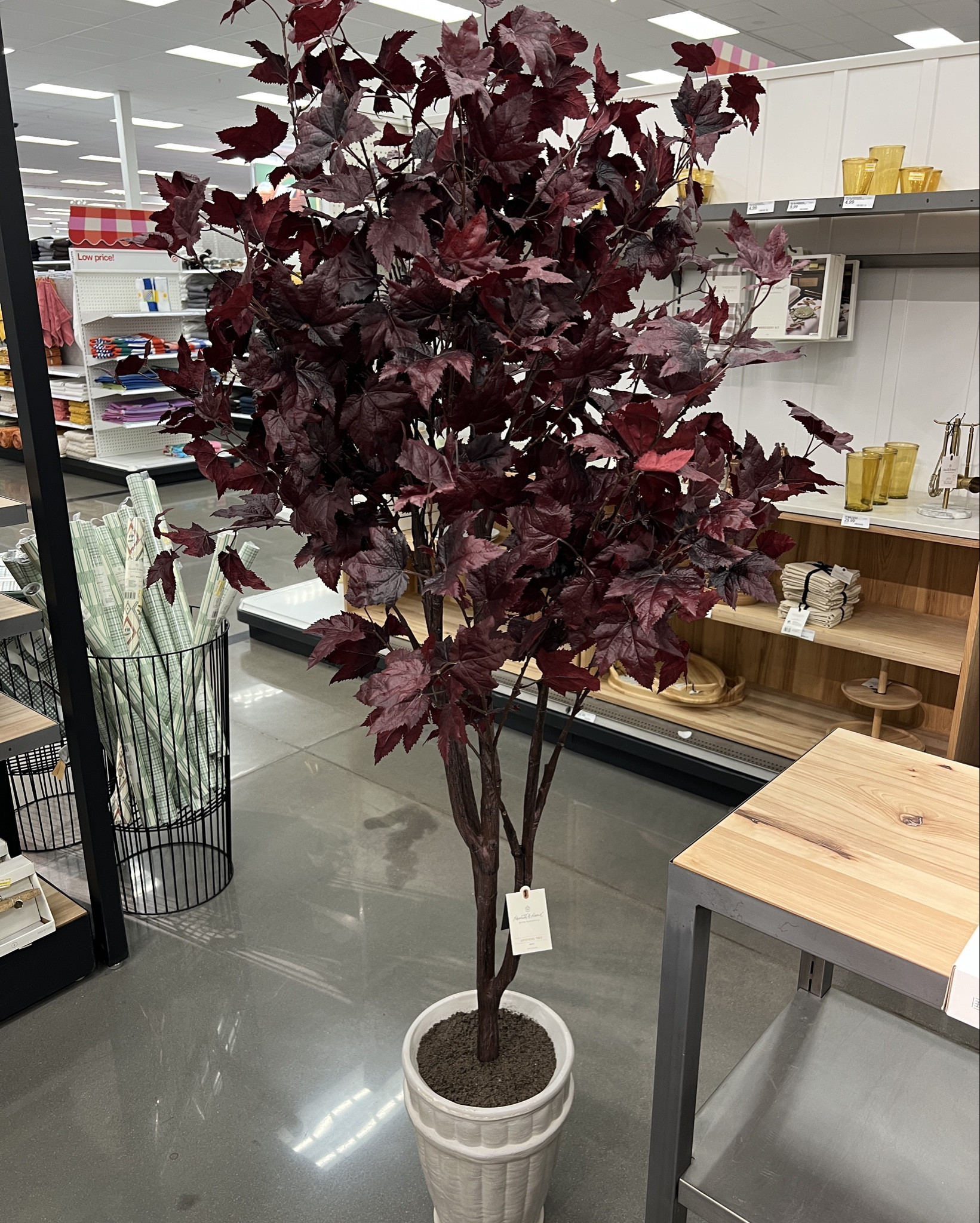 Gorgeous faux tree for fall/ autumn decor. 🍂🍁

Brighten up your living space all year round with this 72" Artificial Fall Maple Tree from Hearth & Hand™ with Magnolia. This traditional arrangement features a realistic-looking maple tree in a purple hue, housed in a white, textured pot for instant display. Set it in a space next to the entryway console or in the dining room to create a bright and elevated focal point.

Hearth & Hand™ with Magnolia: Gather • Create • Enjoy

#LTKHome #LTKStyleTip #LTKSeasonal