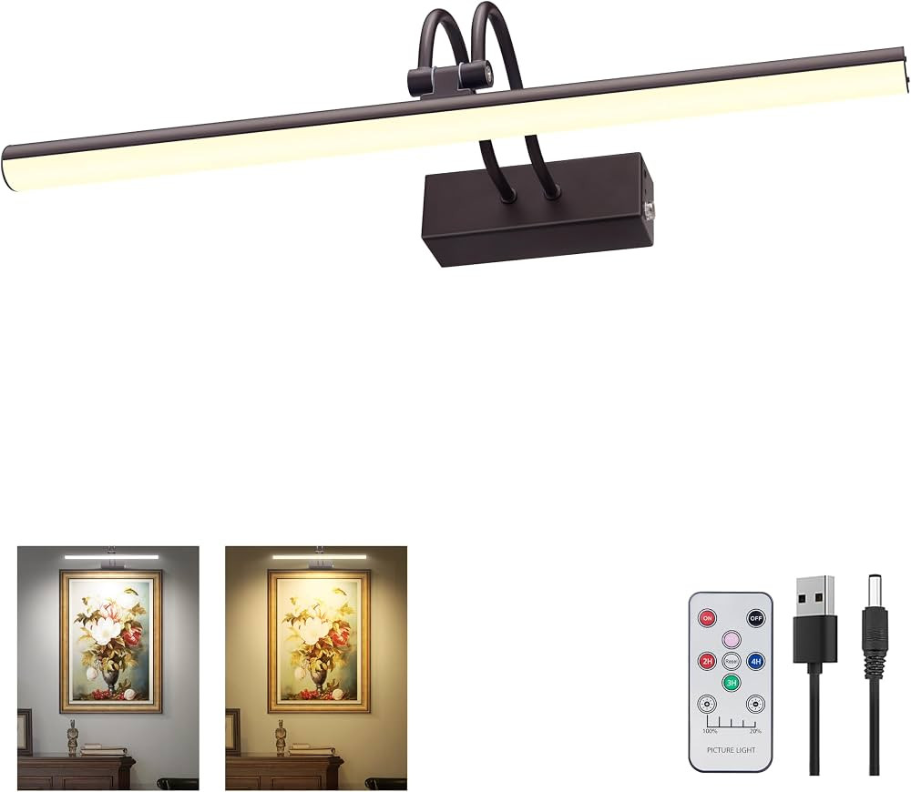 Picture Light, 2 Colors Art Lights for Paintings,20" Battery Operated Wall Light,Remote Control P... | Amazon (US)