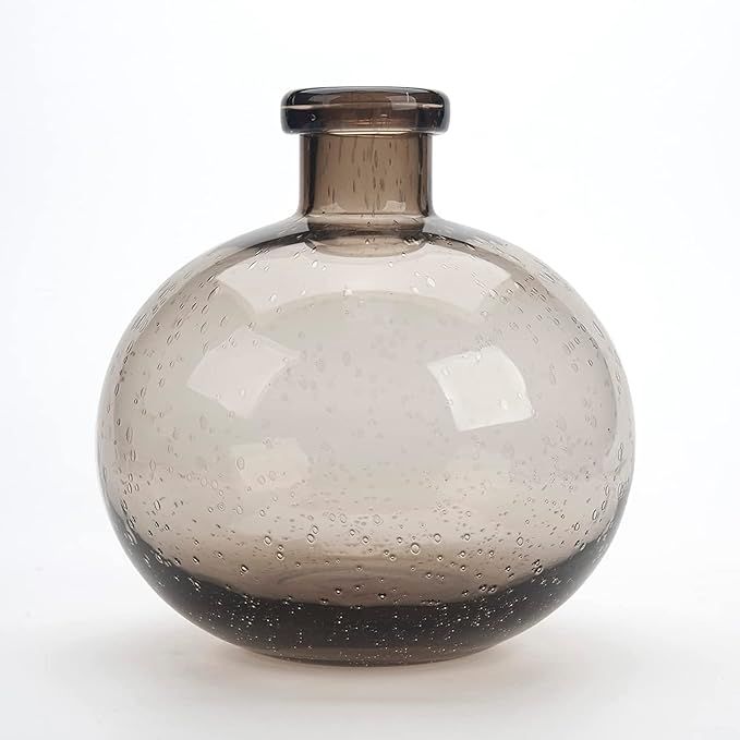 Glass Flower Vase for Home Decor, Clear Bubble Glass Vase (H:7.5" D:6.7"), Nordic Minimalist Styl... | Amazon (US)