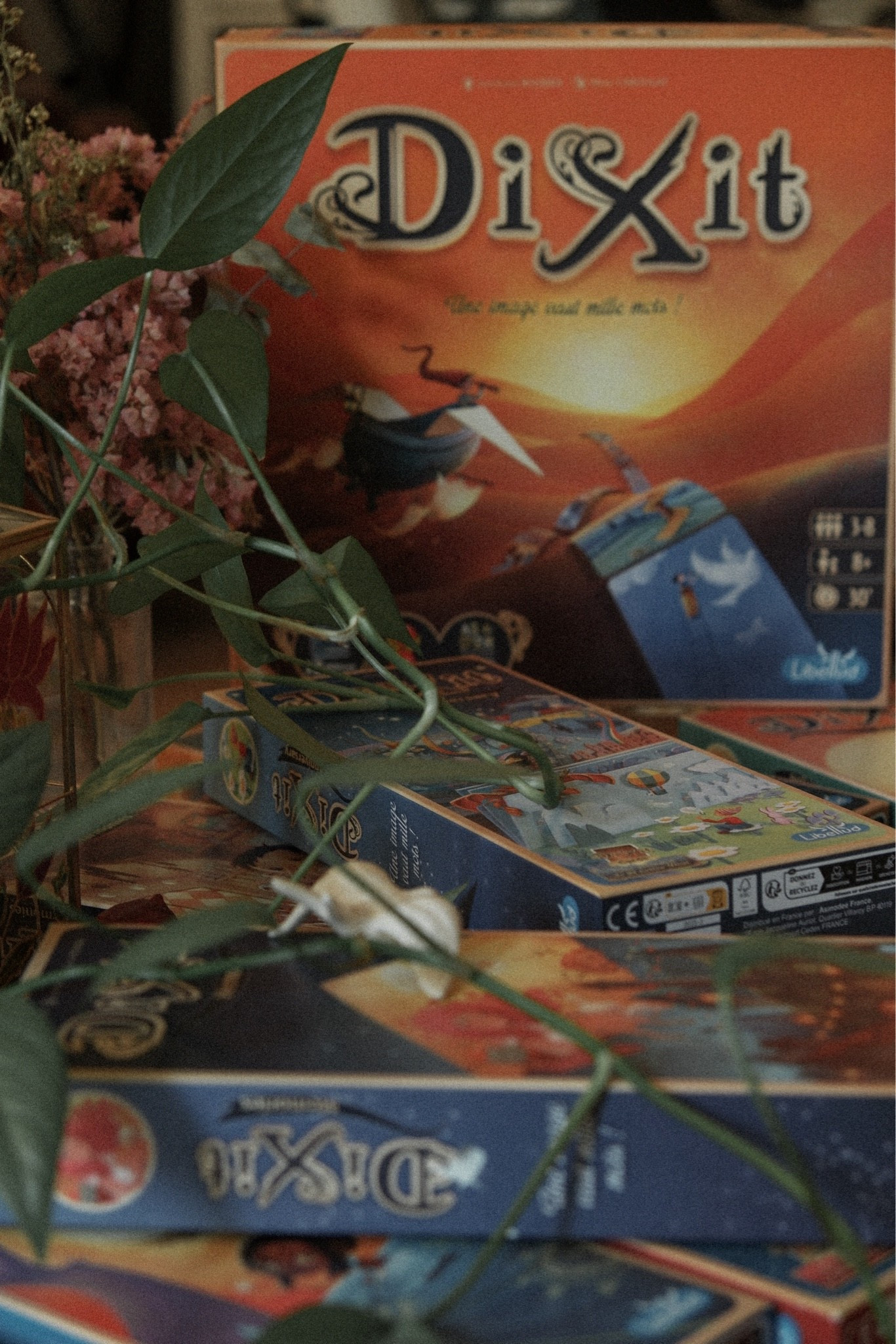 Jeux de société Dixit

#LTKfrance #LTKdatenight #LTKhome
