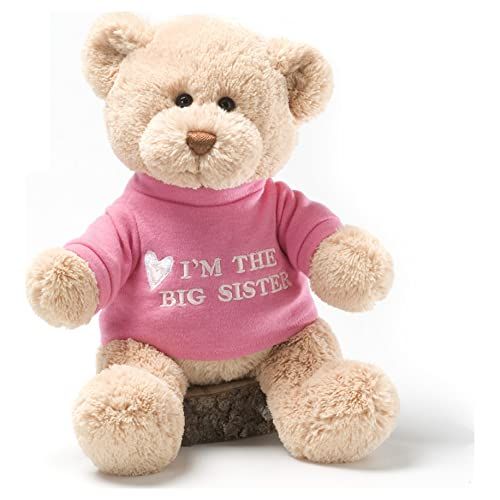 Big Sister Bear | Amazon (US)