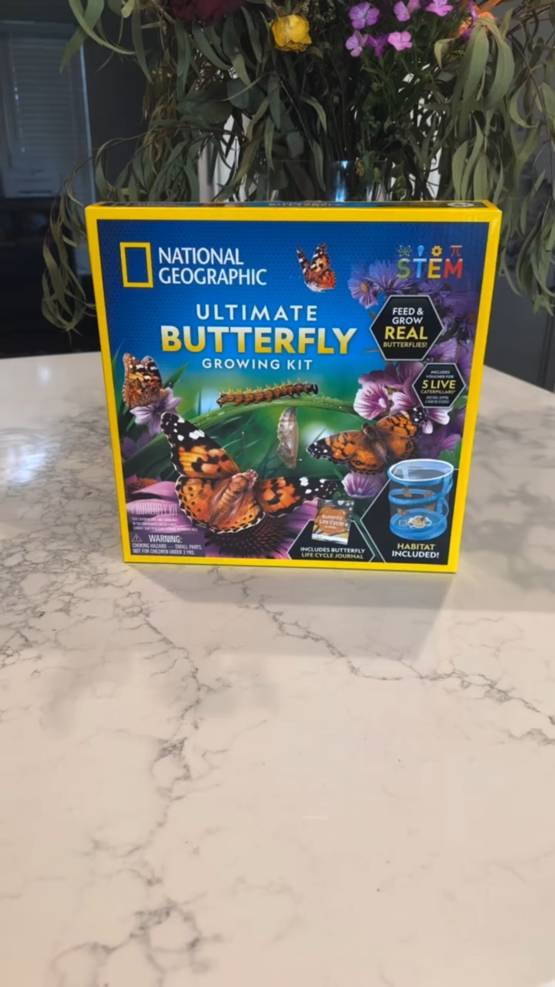 Ultimate Butterfly Growing Kit 🦋 this was such a cool learning experience for both my boys.  Shop the link in my bio in my Amazon storefront. #butterfly #caterpillars #amazon #amazoninfluencerprogram #amazoninfluencer #butterflygrowingkit #stemforkids #stemeducationforkids #stemeducation #stemprojects #stem
