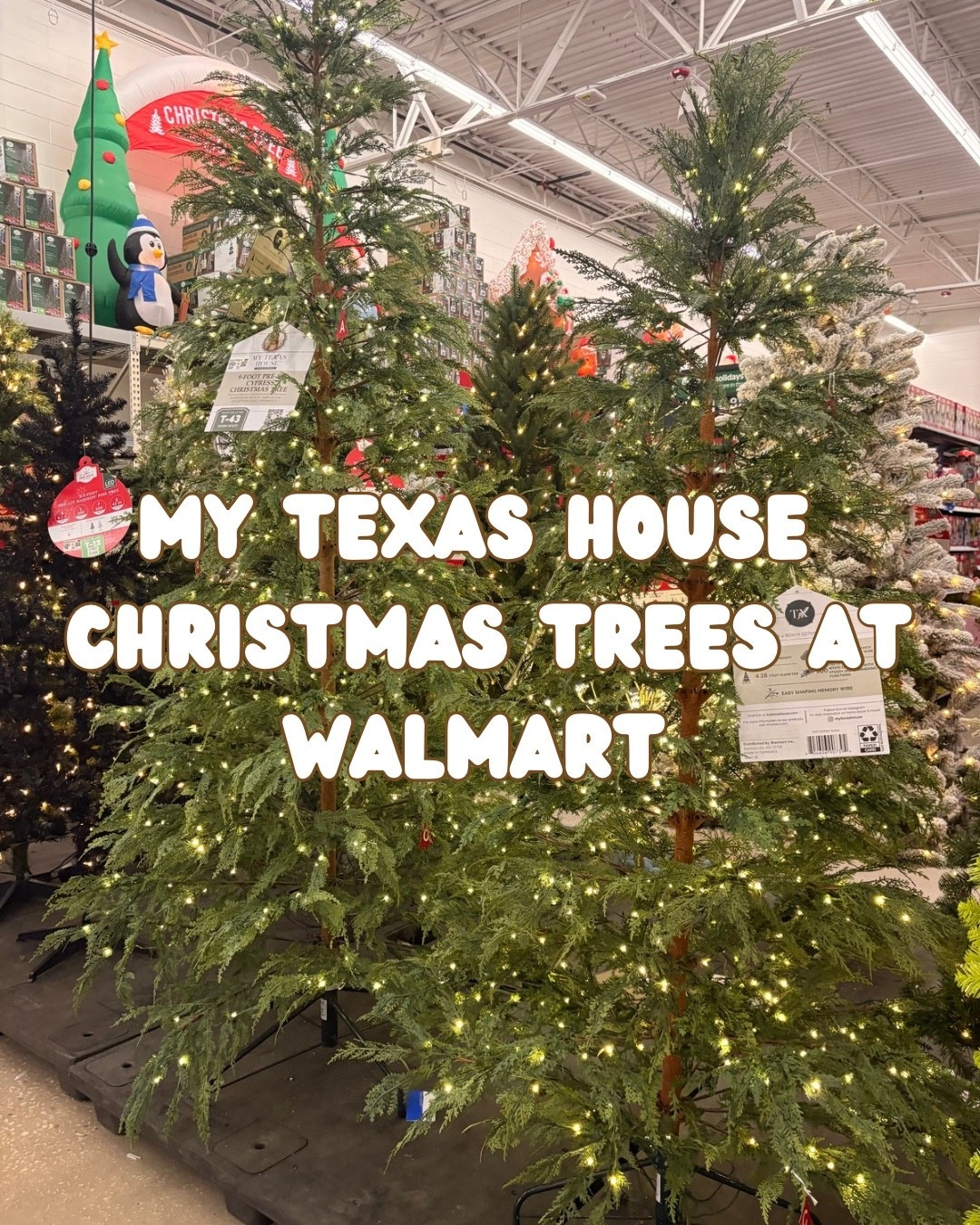 #walmart #christmas #tree #xmas #christmastree #walmartfinds #walmarthaul #mytexashouse

#LTKSeasonal #LTKHome #LTKHoliday