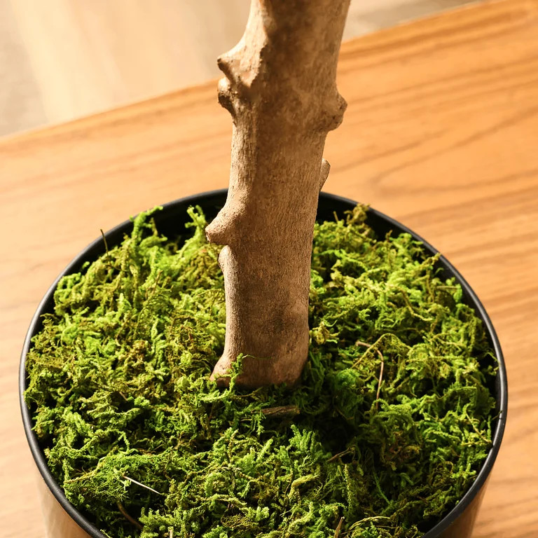 Árbol de Olivo Artificial de 6 Pies, Planta de Seda Sintética Alta para la Decoración de la Of... | Walmart (US)
