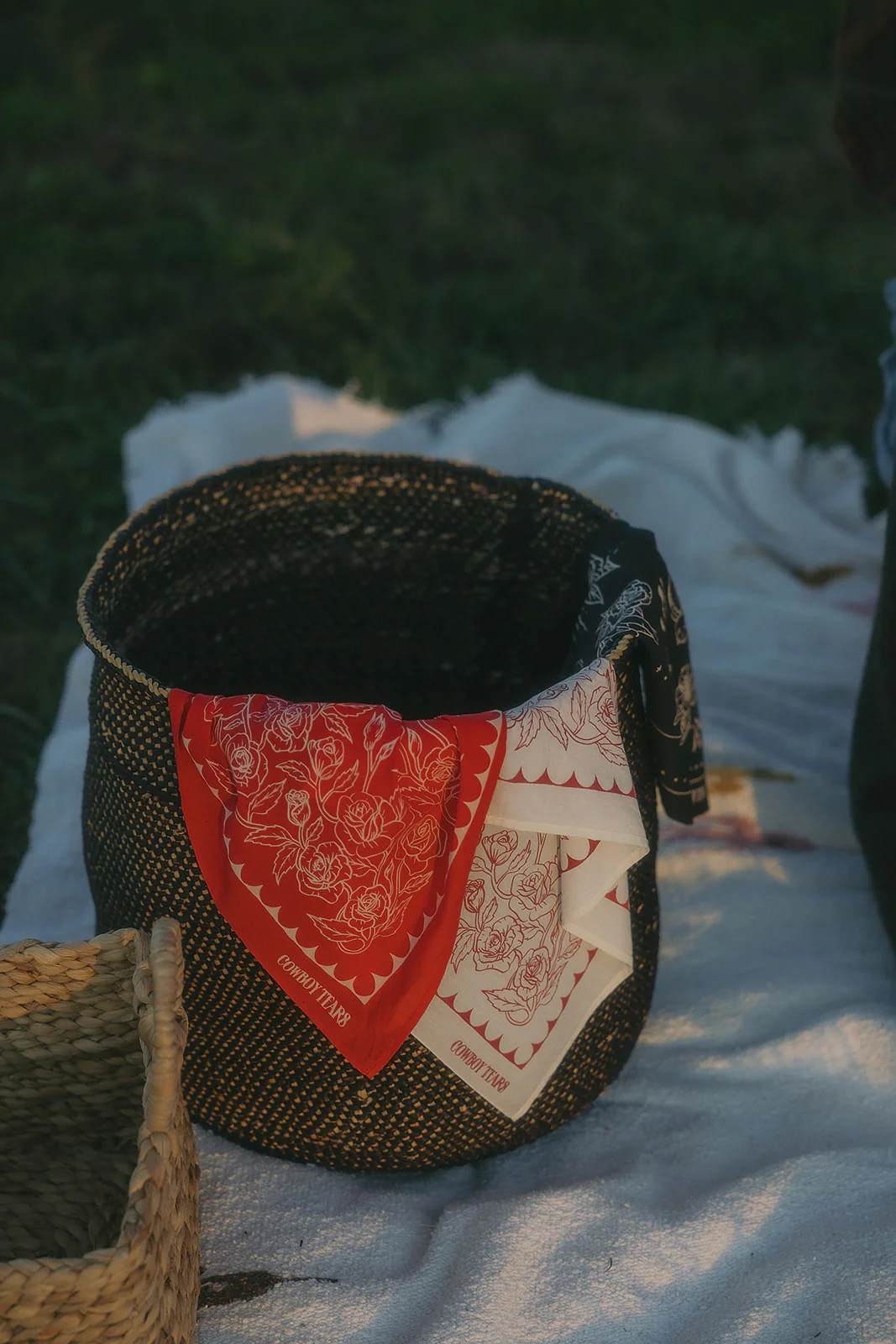 PRE-ORDER: Wild Rose | Cowboy Tears