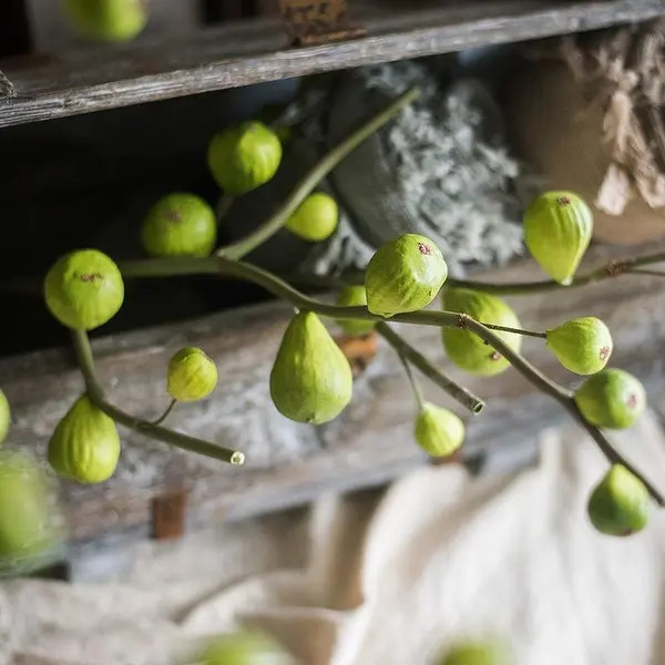 RusticReach Artificial Fig Fruit Stem 30" Tall - Green - A-One Stem | Bed Bath & Beyond