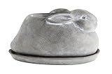 Creative Co-Op Cement Rabbit Planter with Saucer (Set of 2 Pieces) | Amazon (US)