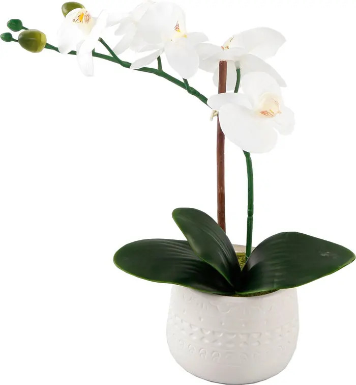 12" Real-Touch Orchid in Ceramic Pot | Nordstrom Rack