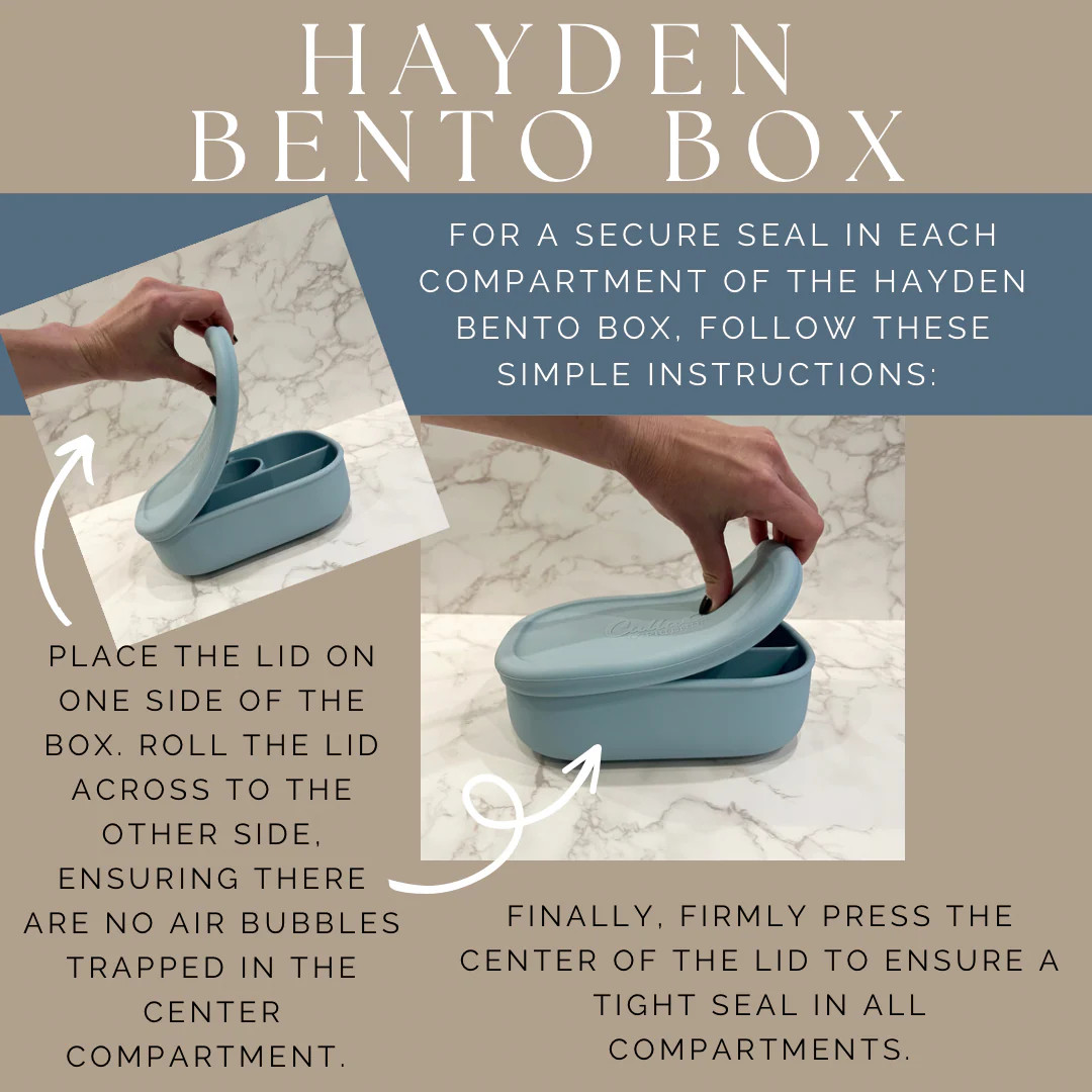 BOLT Hayden Bento Box | Calla and Friends
