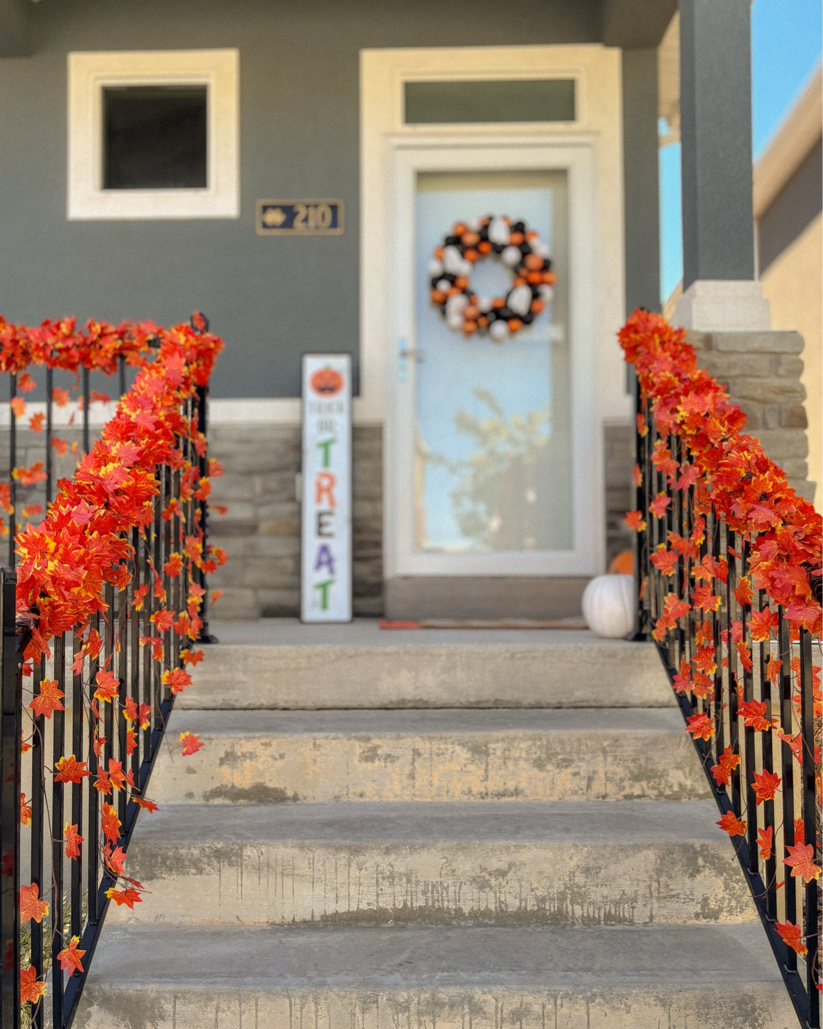 🍁 Fall starts on the porch 🤎
Wrapped this QURE 20-pack maple leaf garland around our railing & door — and it brought instant autumn charm! So easy to use, reusable, and weather-friendly 🍂
Love how cozy and festive it makes our entry feel ✨

#LTKhome #LTKSeasonal #FallPorchDecor #PorchGoals #FallDecor #AutumnVibes #ThanksgivingDecor #FrontPorchStyle #GarlandDecor #QUREGarland #FauxGarland #PorchInspo #HomeDecorLover #EntrywayDecor #FallTouches #CozyHomeStyle #AmazonHomeFinds #FallFrontPorch #PumpkinSeason

#LTKHome #LTKHalloween #LTKSeasonal
