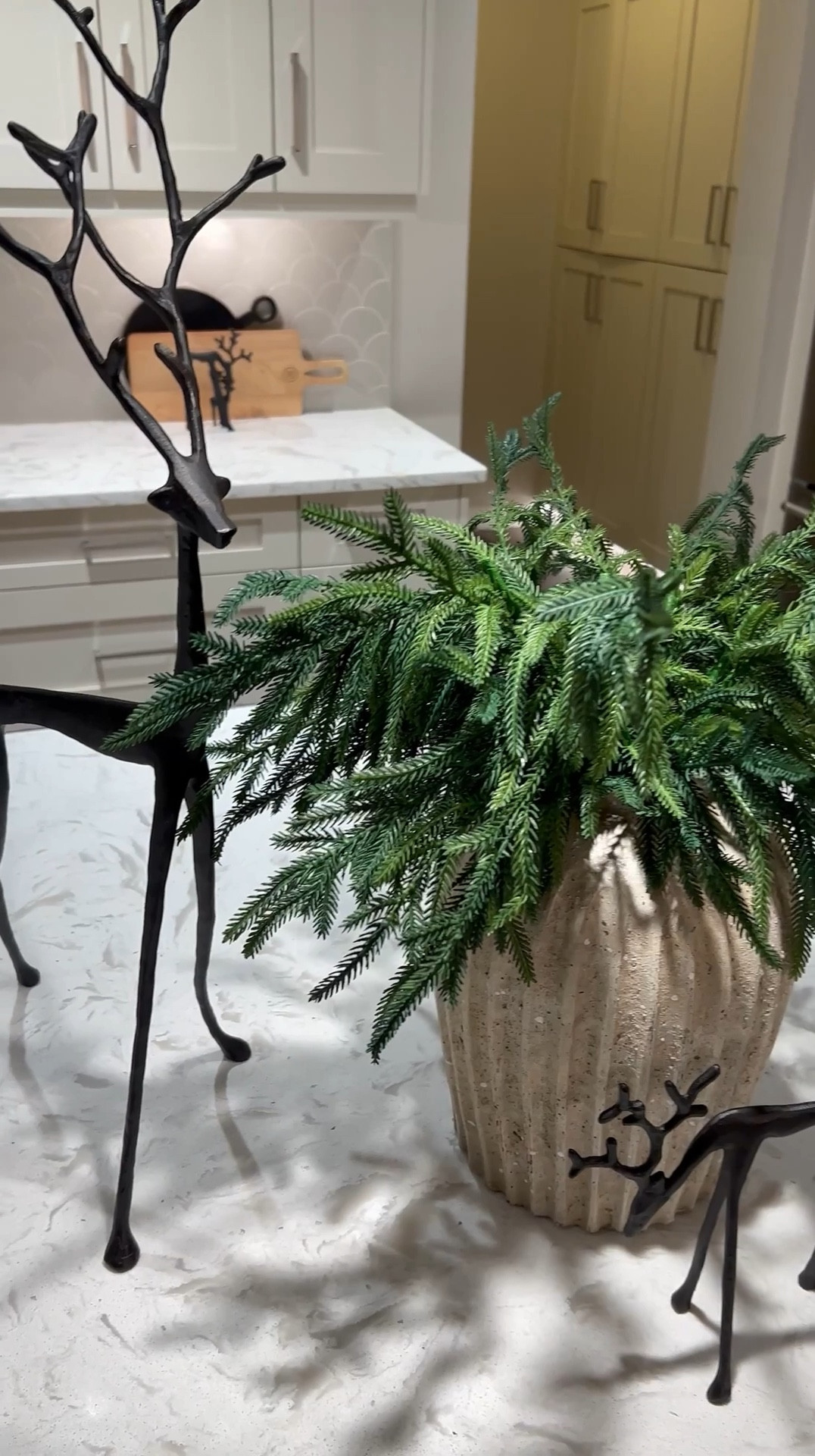 Can’t believe Christmas is just around the corner ☺️😆… I’ve put together the perfect curation for your kitchen counter 

#LTKstyletip #LTKmidsize #LTKhome