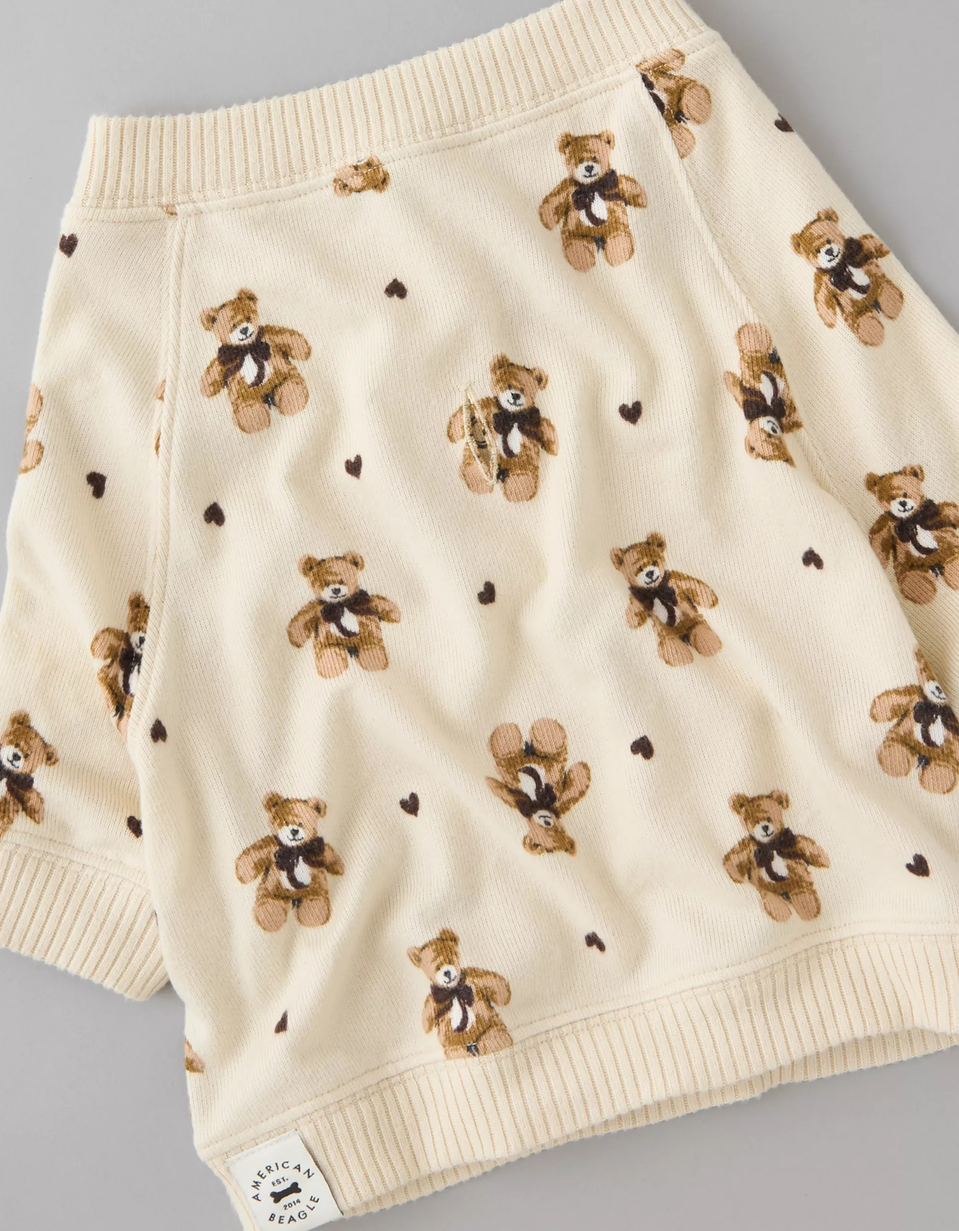 ABO Teddy Bear Dog Sweater | American Eagle Outfitters (US & CA)