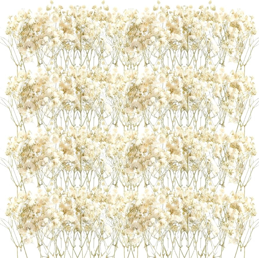 Mini Dried Baby Breath Flowers Gypsophila Ivory Natural Flowers Dried Flowers for Vase Wedding Ho... | Amazon (US)