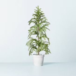 Faux Balsam Fir Tree in Washed Cement Porch Pot - Hearth & Hand™ with Magnolia | Target