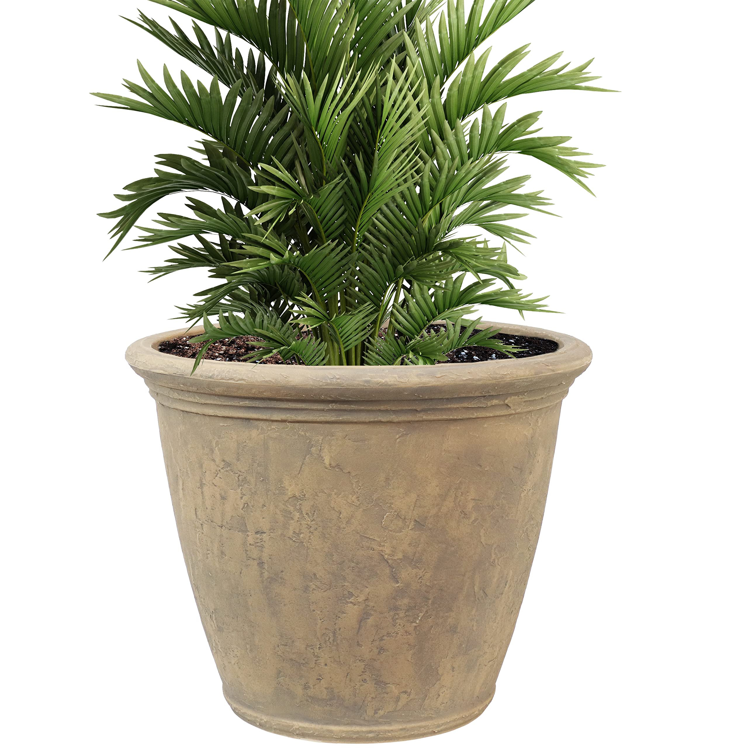 Sunnydaze Anjelica 24" Double-Walled Polyresin Outdoor Planter with UV-Resistant Beige Finish | Amazon (US)
